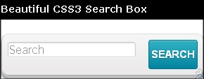 Search Bar Css3