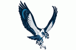 Seattle Seahawks Logo Vector