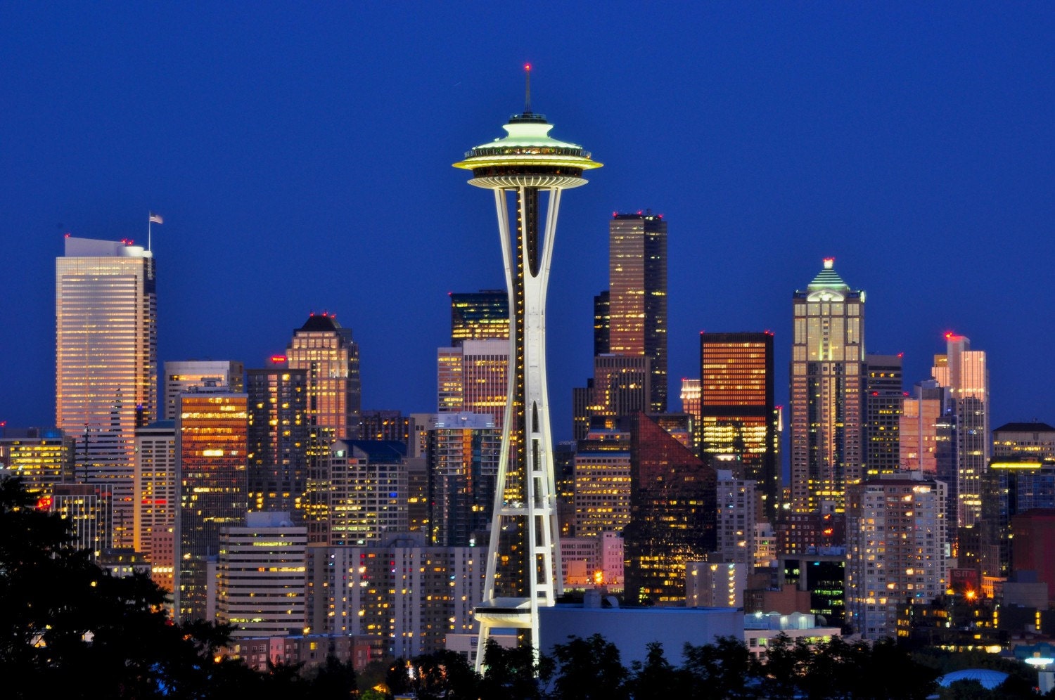 Seattle Washington Skyline