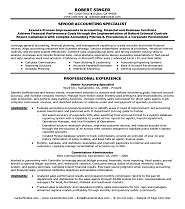 Senior Accountant Resume Example