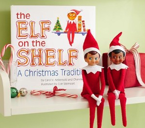 Shelf Elf