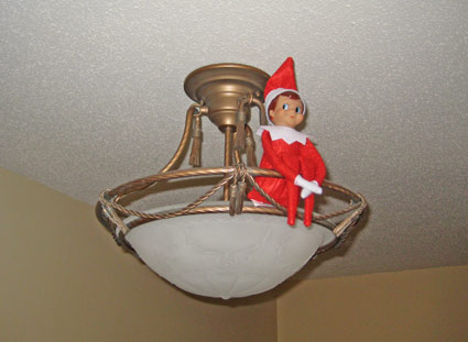 Shelf Elf