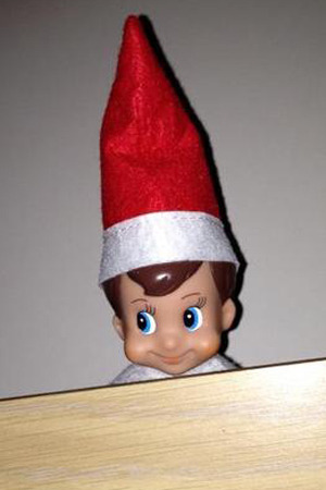 Shelf Elf