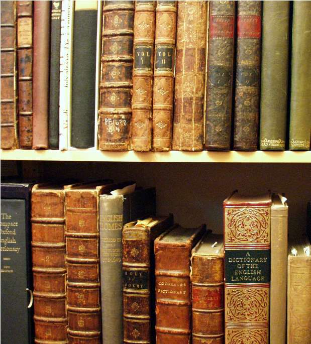 Shelves Of Books