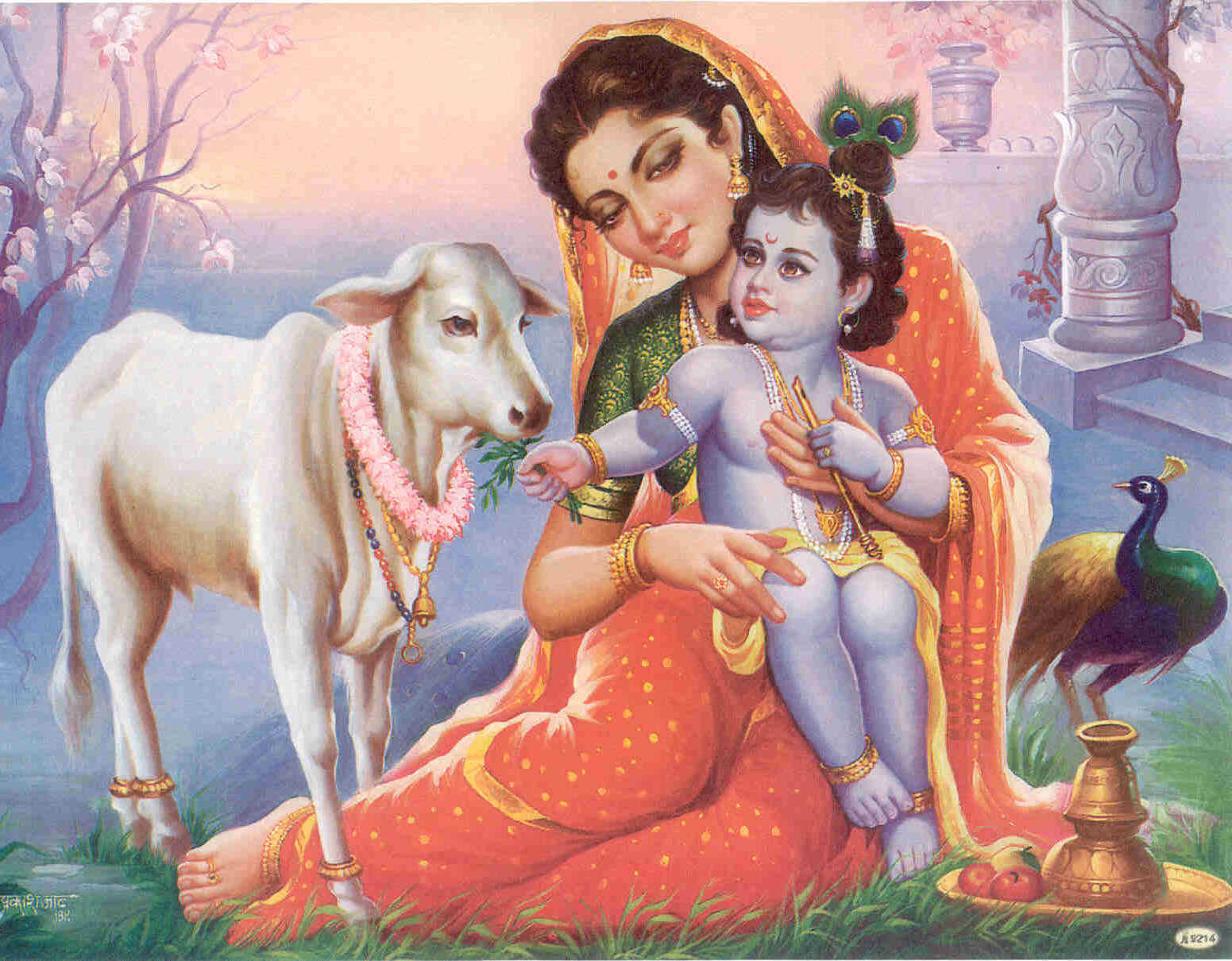 Shri Krishna Photos Pictures