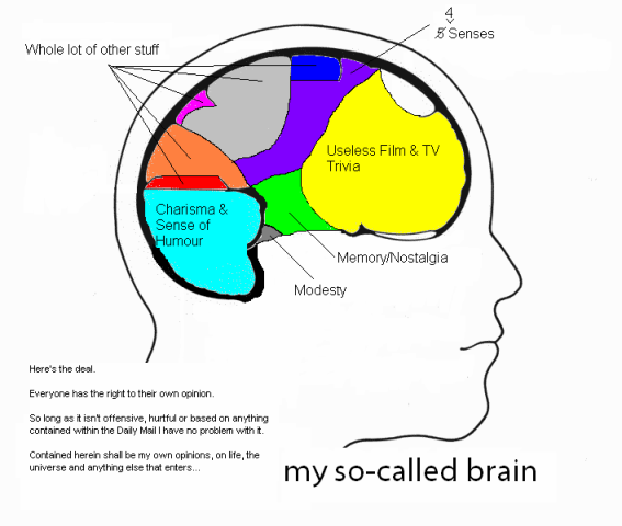 Simple Brain Diagram For Kids