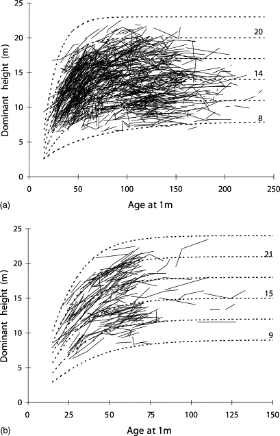 Site Index Curves For Forest Tree Species In The Eastern United States