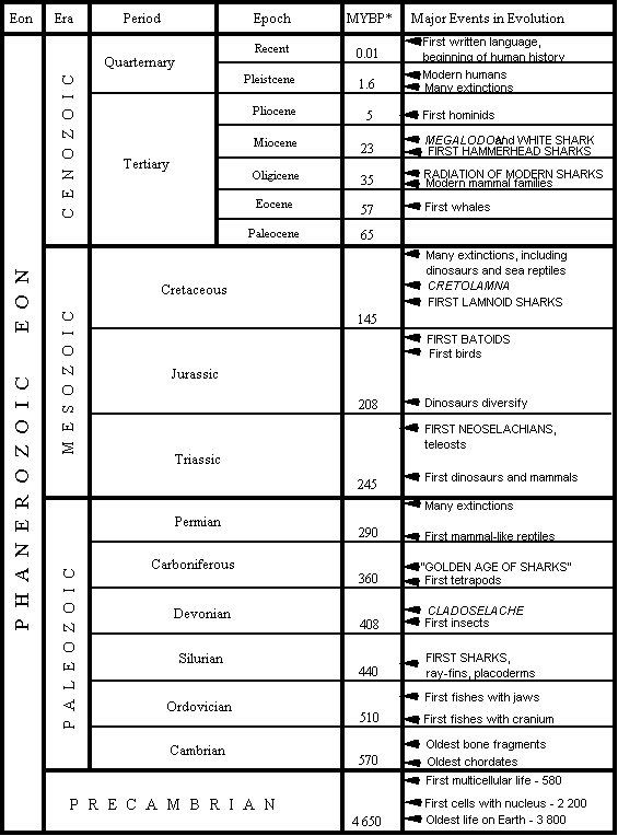 Site Index Vs Sitemap