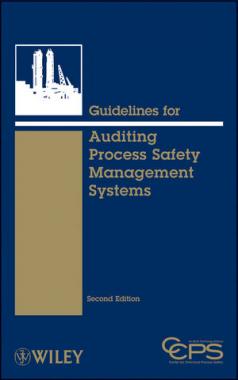 Skills Audit Process