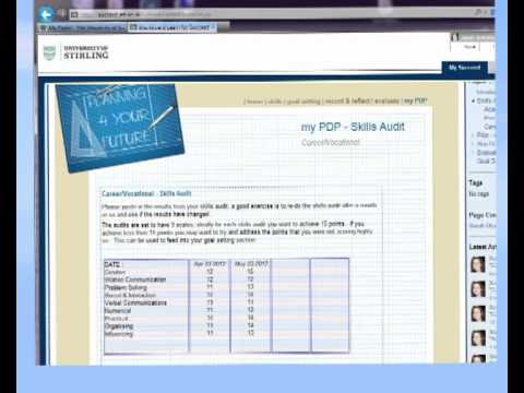 Skills Audit Process