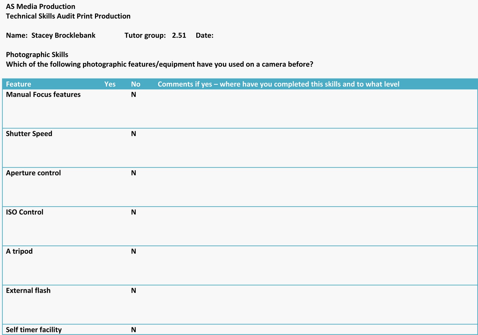 Skills Audit Template Examples