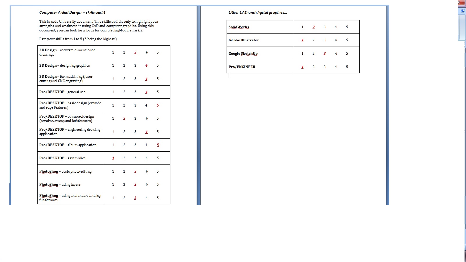 Skills Audit Template For Students