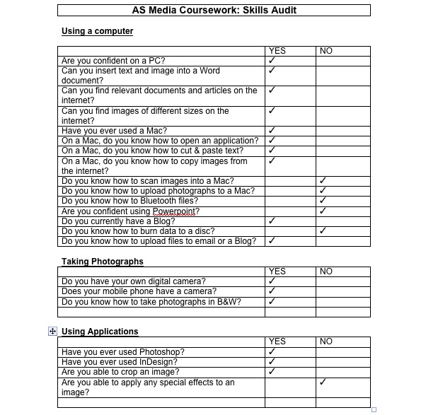 Skills Audit Template For Teachers