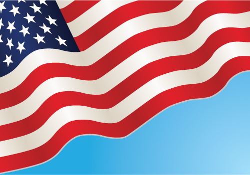 Skills Usa Flag