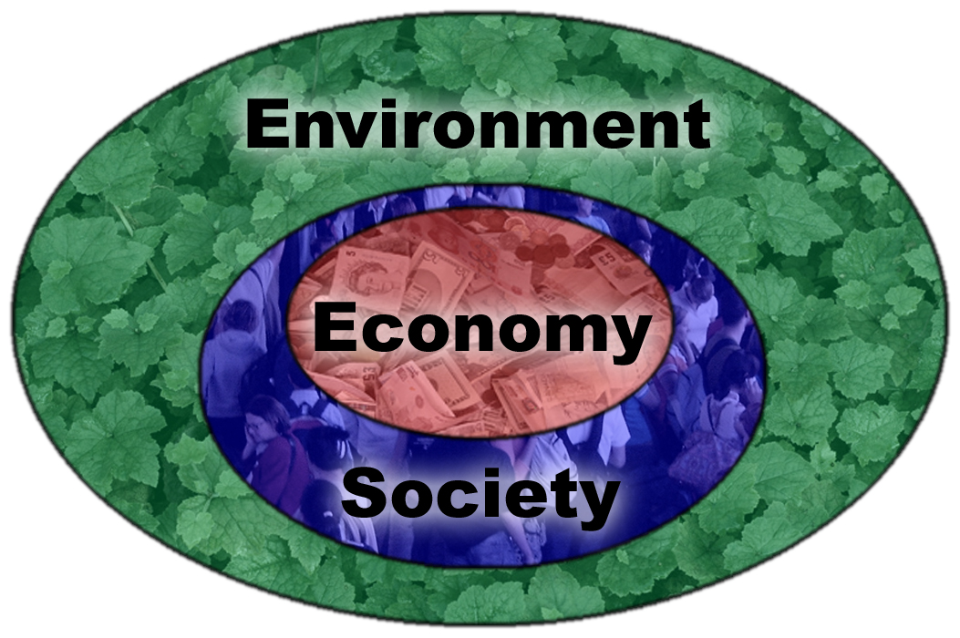 Society And Environment