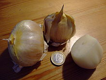 Society Garlic Wiki