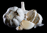 Society Garlic Wiki