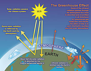 Solutions To Global Warming And Greenhouse Effect