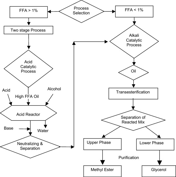 Soybean Feedstock Biodiesel Production