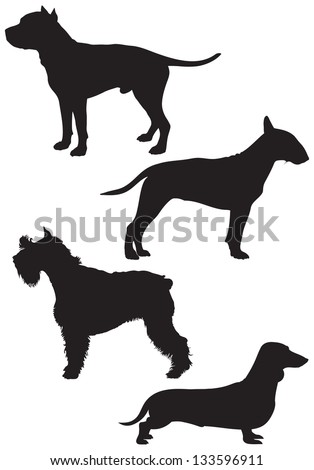 Staffy Dog Breed