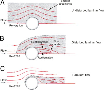 Streamline Flow Definition