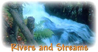 Streams And Rivers Biome Animals