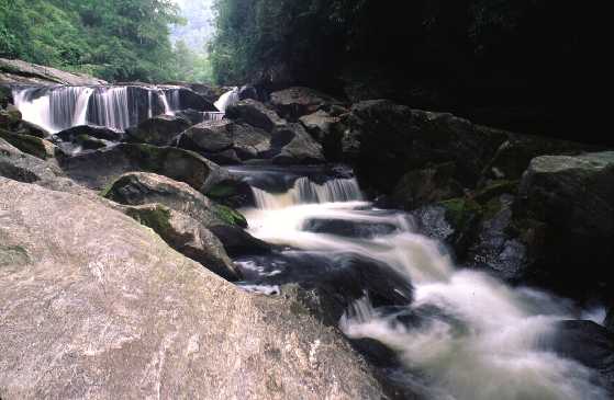 Streams And Rivers Biome Climate