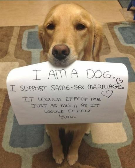 Support Gay Marriage Tumblr