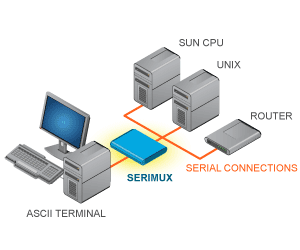 Switch Console Port