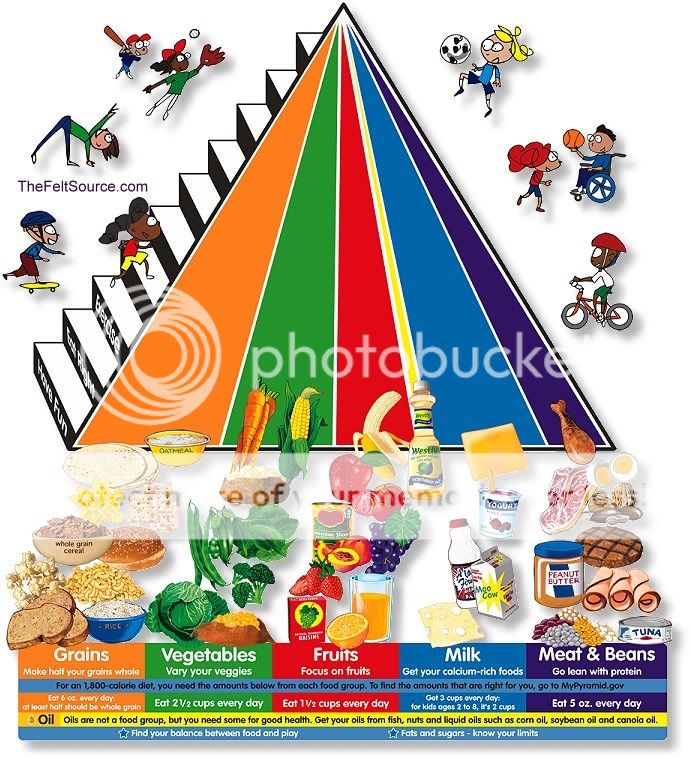 The Four Basic Food Groups Chart