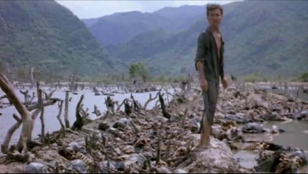 The Killing Fields 1984