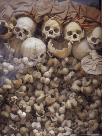 The Killing Fields Of Cambodia Genocide