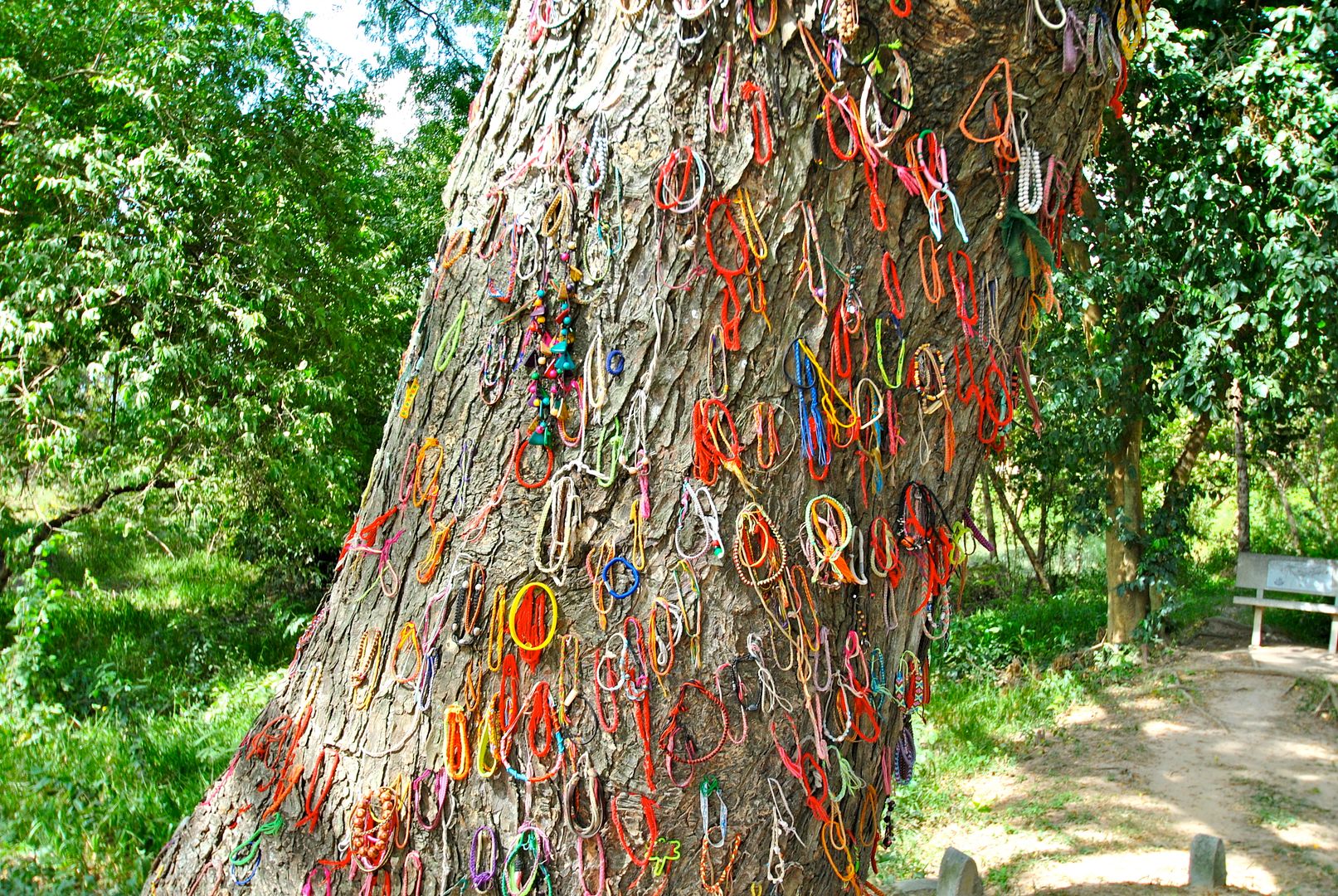 The Killing Fields Phnom Penh