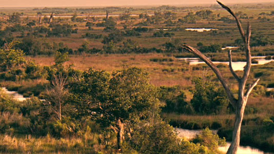 The Killing Fields Texas