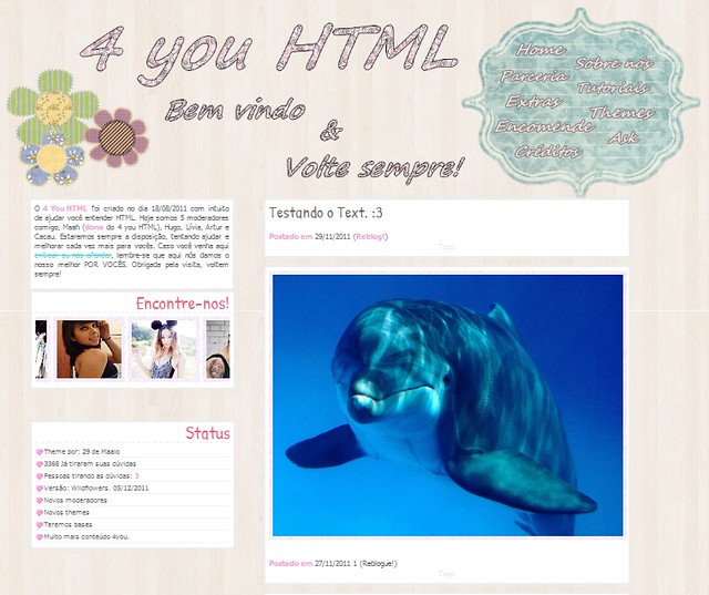 Themes Para Tumblr De Fotos