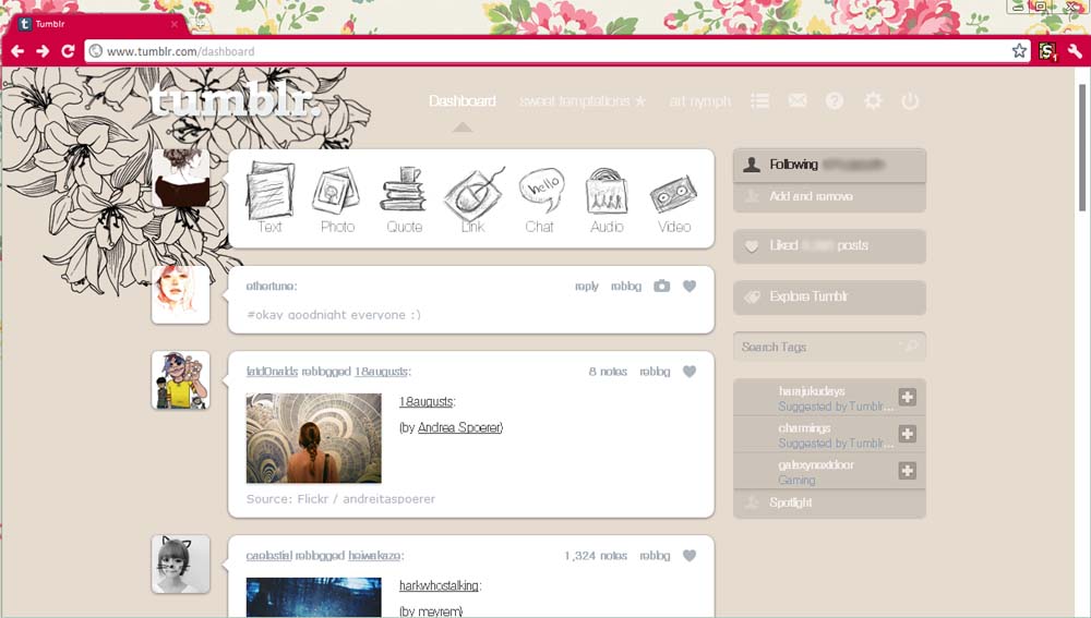 Themes Para Tumblr Femininos