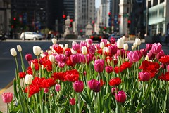 Things To Do In Chicago With Kids In Spring