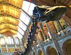 Things To Do In London England For Free