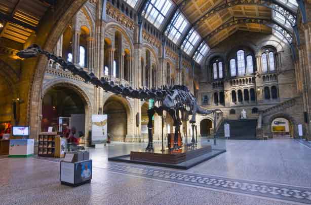 Things To Do In London For Free With Kids