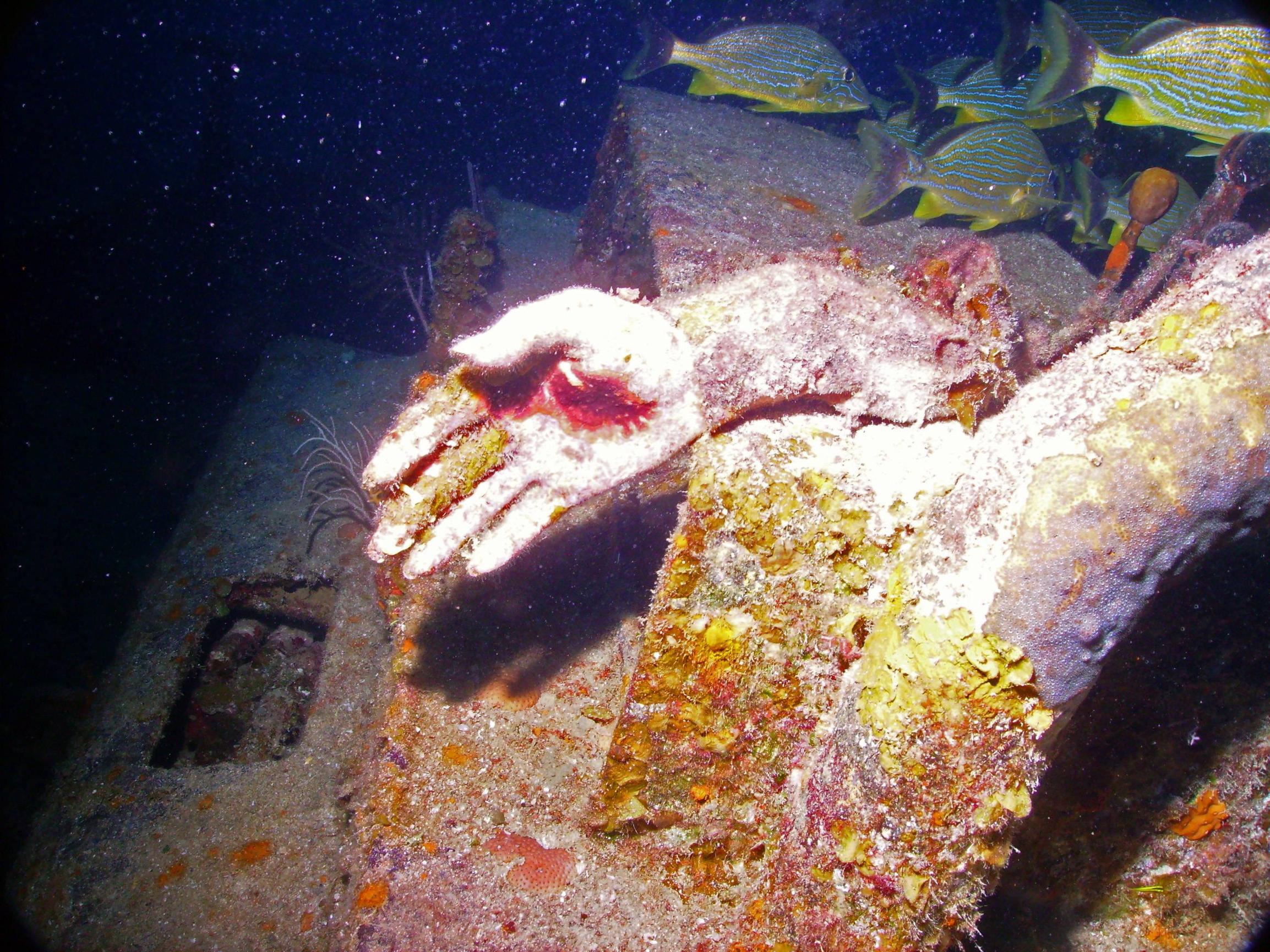 Titanic Pictures Underwater Human Remains