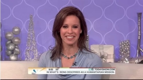 Today Show Jenna Wolfe Gay