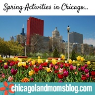 Top 10 Things To Do In Chicago In Spring