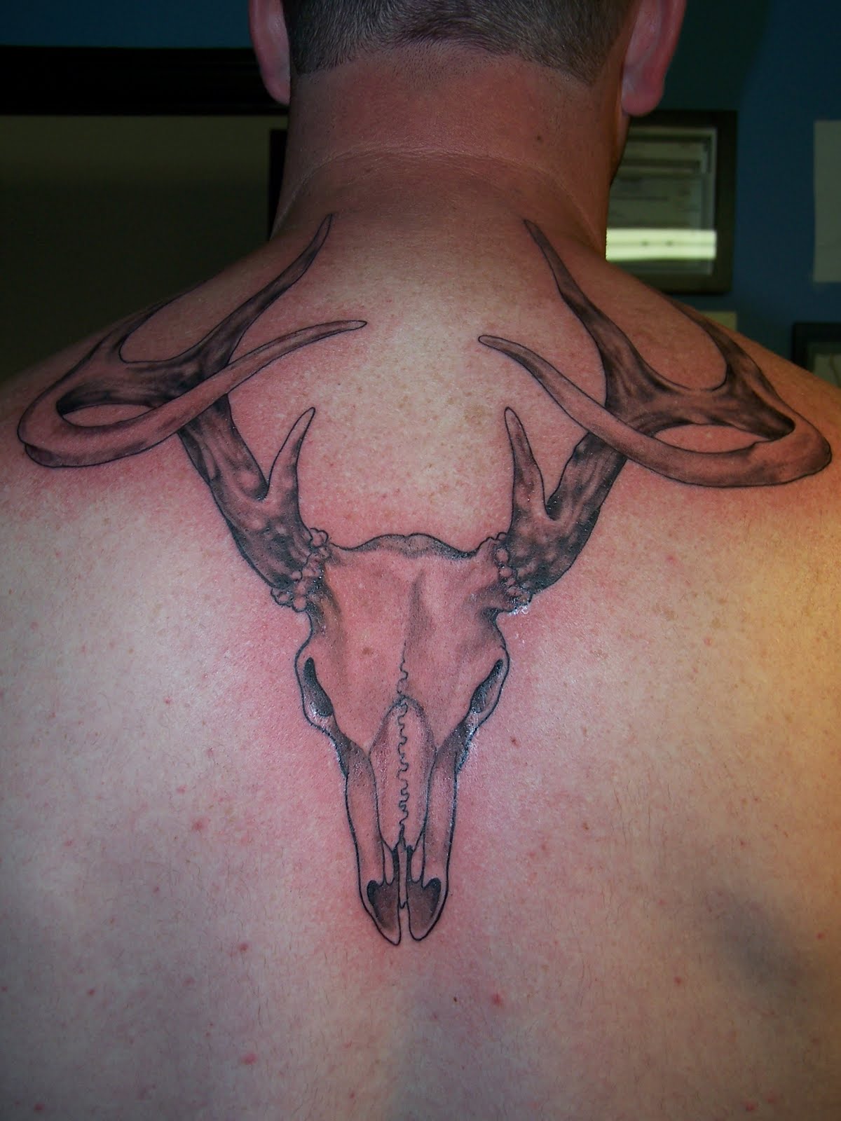 Tribal Deer Head Tattoos