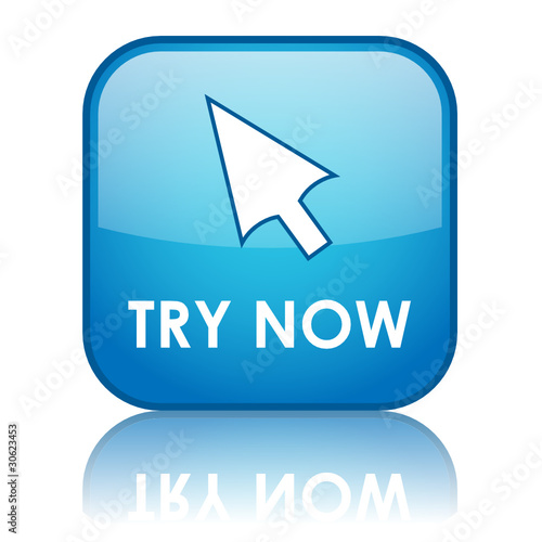 Try Now Button