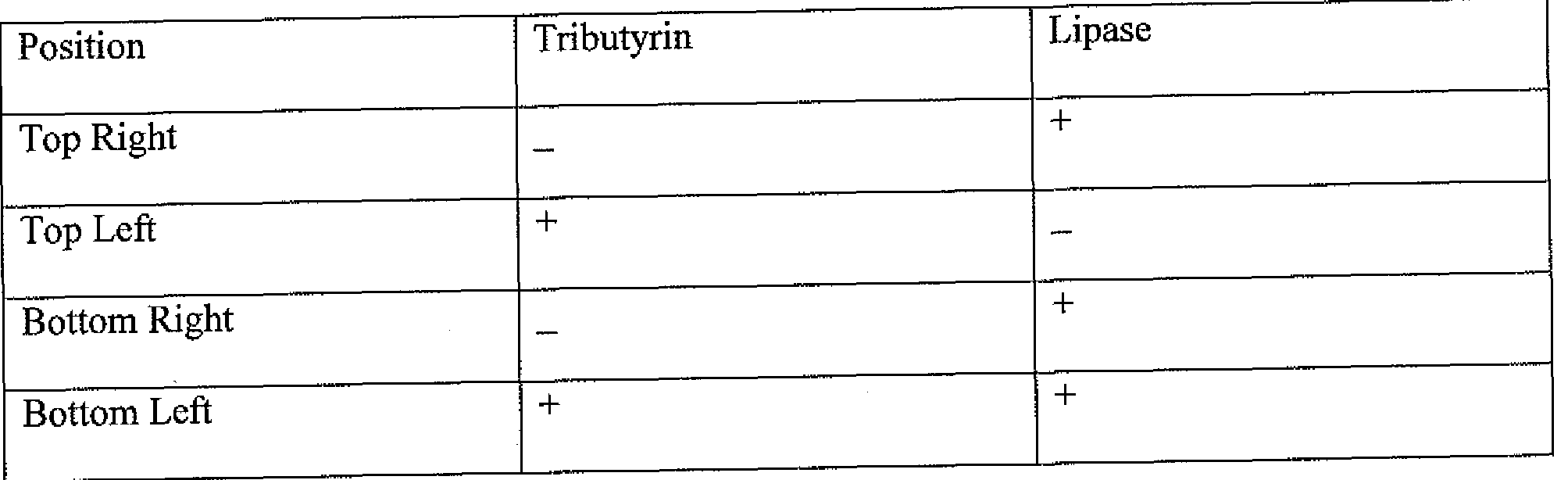 Types Of Feeding Tubes For Dogs