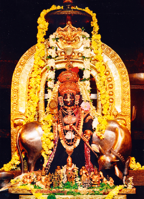 Udupi Krishna Photos Download