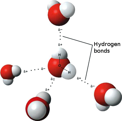 Unique Properties Of Water Powerpoint