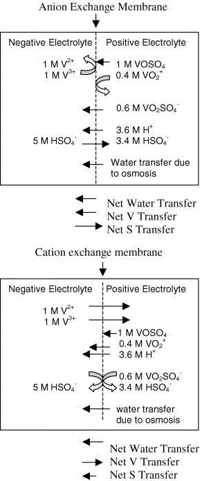 Unique Properties Of Water Powerpoint