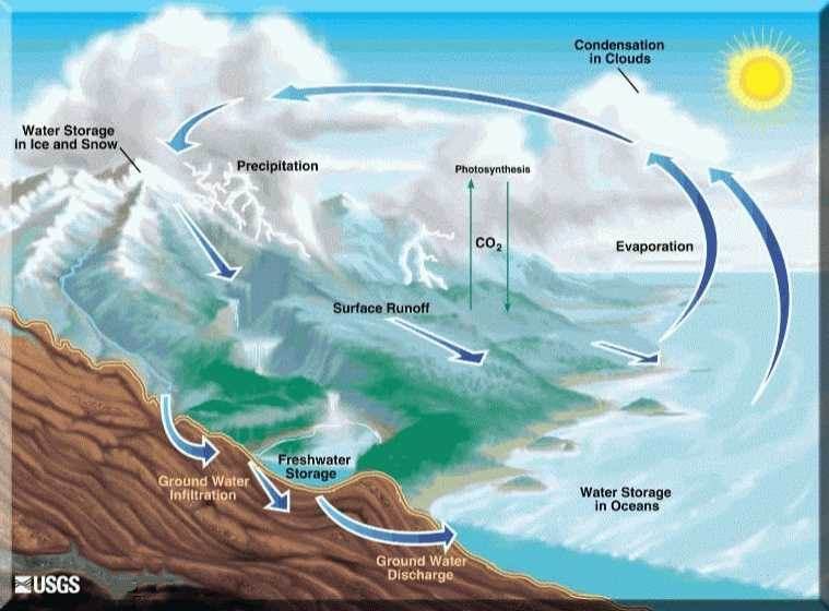 Unique Properties Of Water That Make Life Possible On Earth