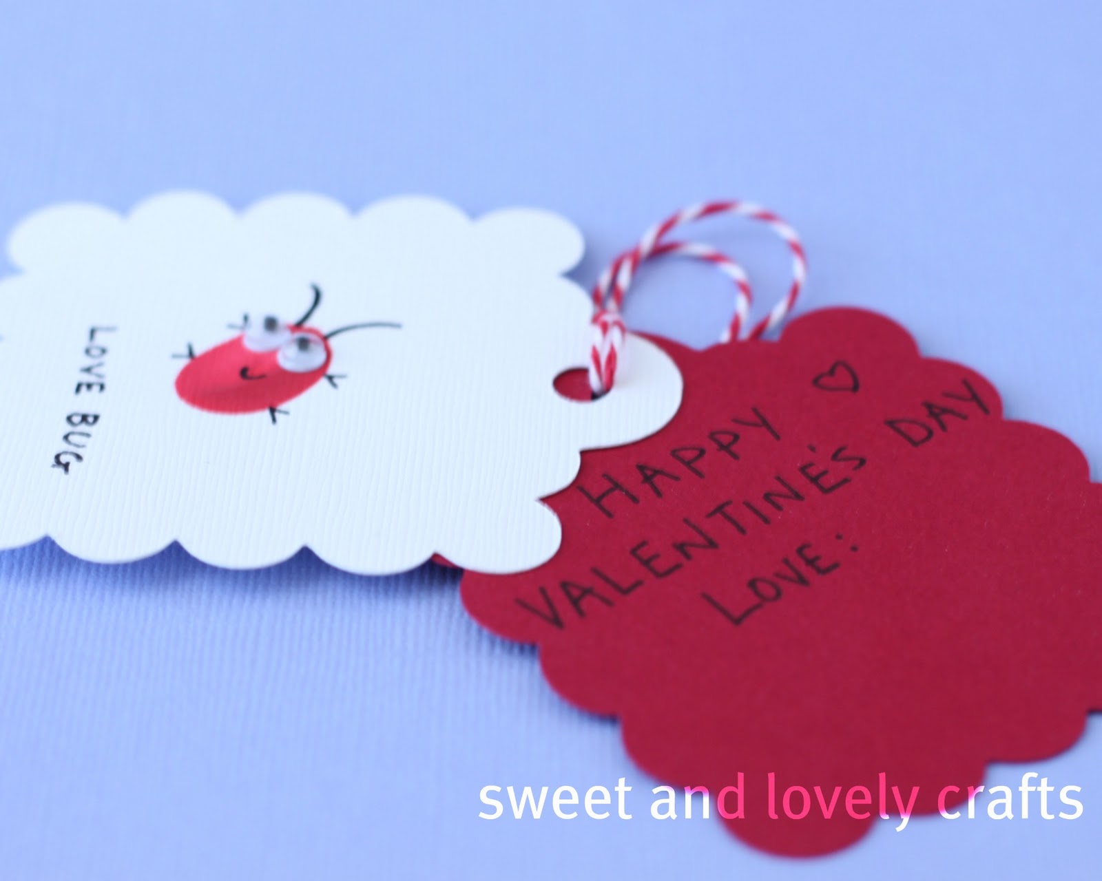 Valentines Day Love Bugs